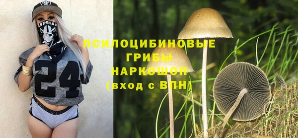 мяу мяу мука Алексеевка