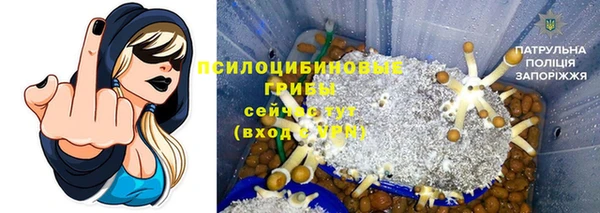 винт Алзамай