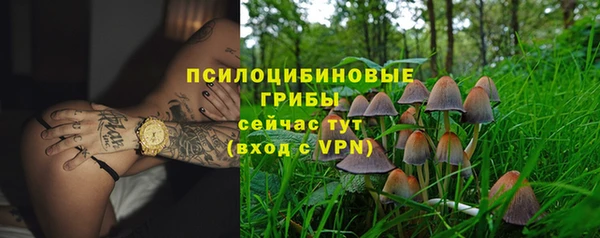 мяу мяу мука Алексеевка