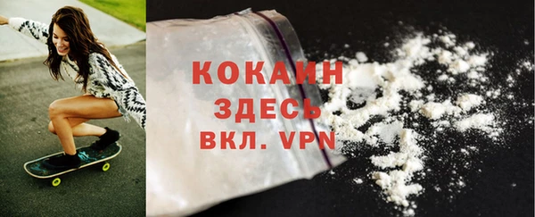 винт Алзамай